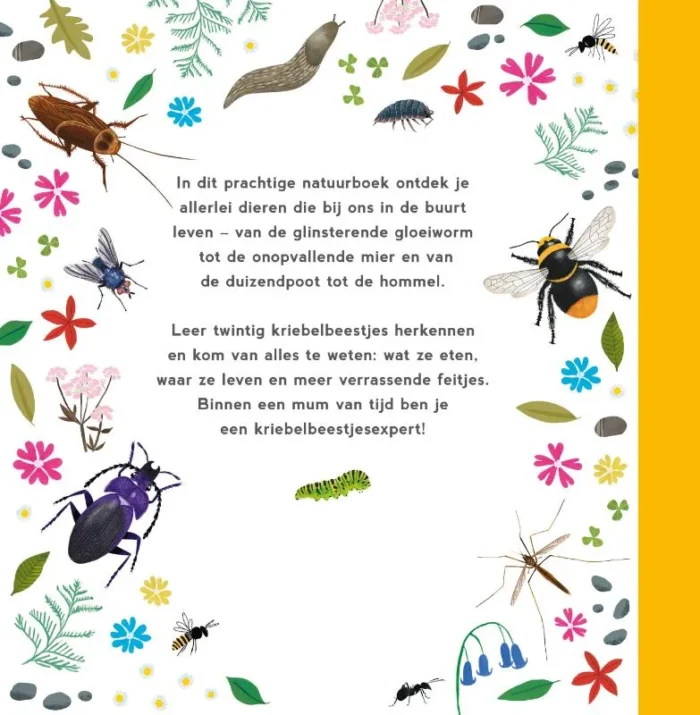 Mijn eerste kriebelbeestjesboek - Afbeelding 2