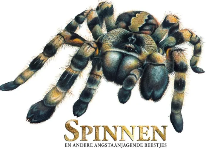 Spinnen