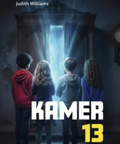 Kamer 13