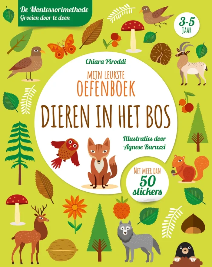 Mijn leukste oefenboek