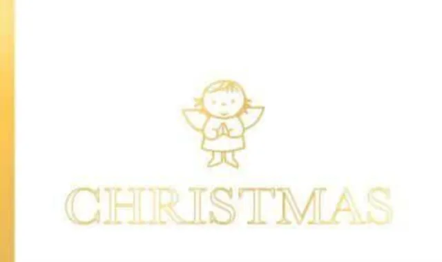 Christmas | 9781398521322 Christmas