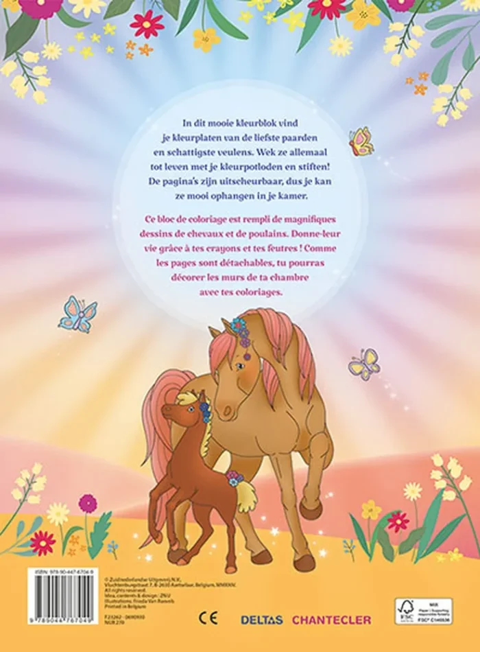 Ik hou van paarden kleurblok / J'aime les chevaux bloc de coloriage - Afbeelding 2