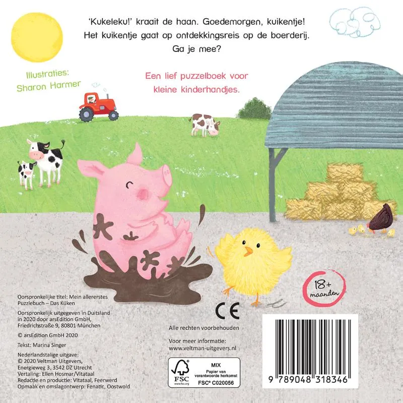 Het kuikentje | 9789048318346 Het kuikentje - Afbeelding 2