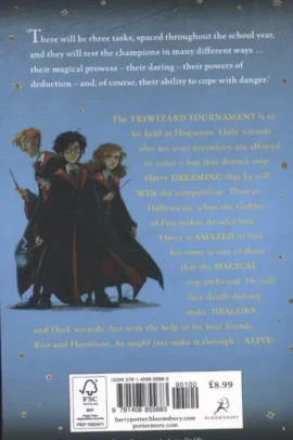 Alternative view of Harry Potter and the Goblet of Fire