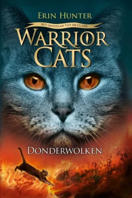 Donderwolken