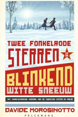 Twee fonkelrode sterren in de blinkend witte sneeuw