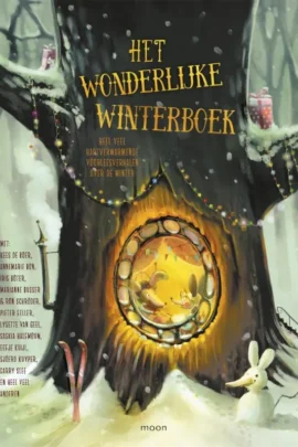 Het wonderlijke winterboek
