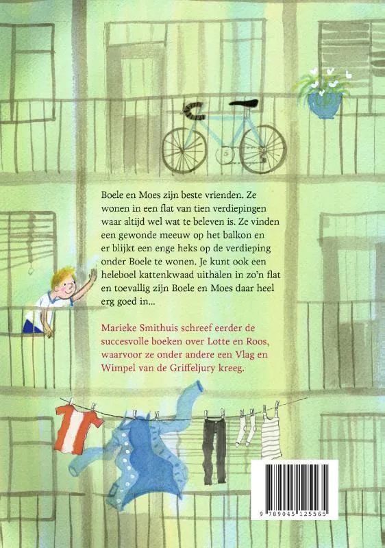 De koning van de flat | 9789045125565 De koning van de flat - Afbeelding 2