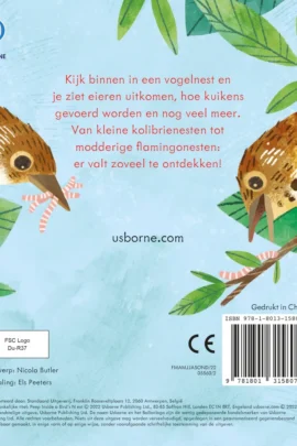 Alternative view of Een vogelnest