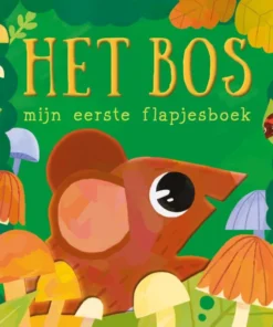 Mijn eerste flapjesboek