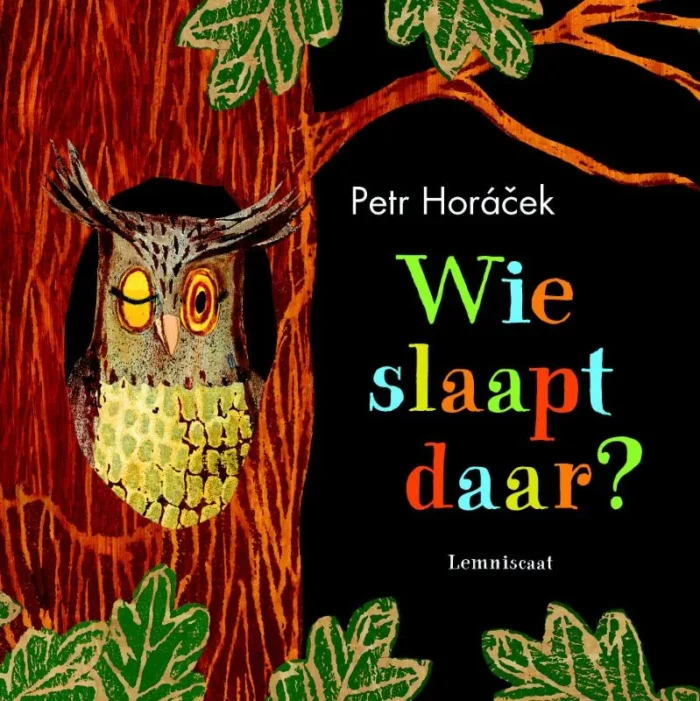 Wie slaapt daar?