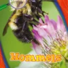 Hommels | 9789463415859 Hommels | 9789463415859