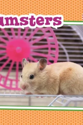 Hamsters
