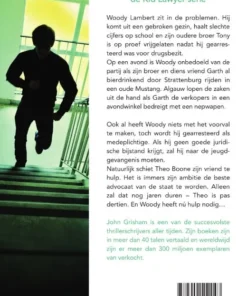 Alternative view of De medeplichtige