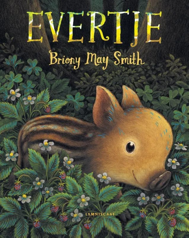 Evertje | 9789047717706 Evertje