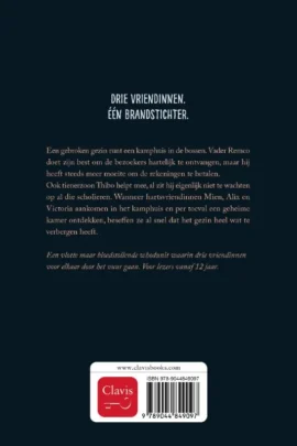 Alternative view of Je speelt met vuur