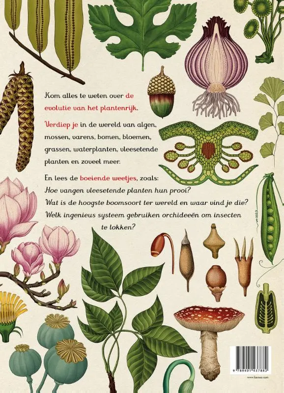 Het plantenboek | 9789401437882 Het plantenboek - Afbeelding 2