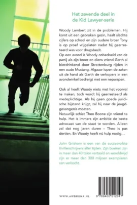 Alternative view of De medeplichtige