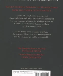 Alternative view of Catching Fire