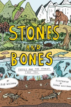 Fossils and the stories they tell