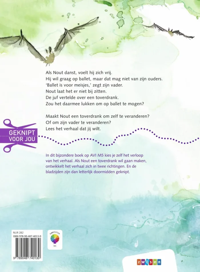 voor Nout of voor zijn vader? - Afbeelding 2