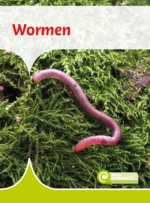 Wormen | 9789086647637 Wormen | 9789086647637