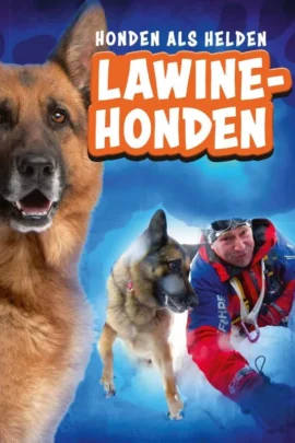 Lawinehonden