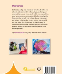 Alternative view of Microchips