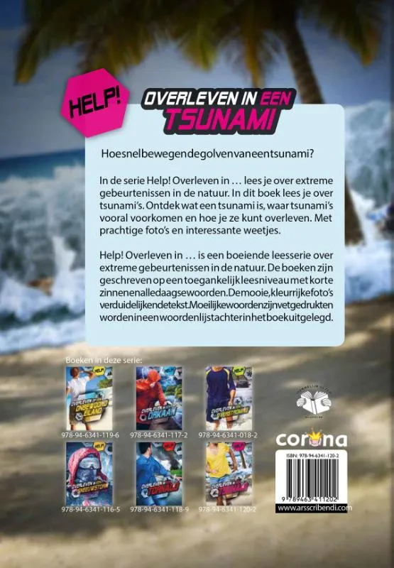 Overleven in een tsunami | 9789463411202 Overleven in een tsunami - Afbeelding 2
