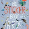 The Big Sticker Book of Birds | 9780500651995 The Big Sticker Book of Birds | 9780500651995