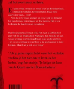 De geest van het Besiendershuis | 9789047715153