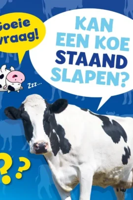 Kan een koe staand slapen?