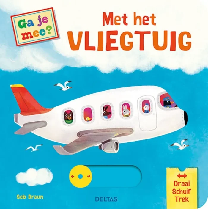 Met het vliegtuig