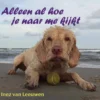 Alleen al hoe je naar me kijkt | 9789493240711