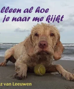 Alleen al hoe je naar me kijkt