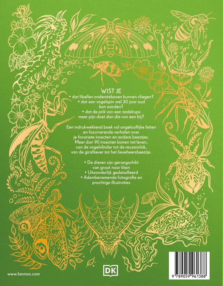 Het dikke boek van alle bijzondere insecten en andere beestjes | 9789059961388 Het dikke boek van alle bijzondere insecten en andere beestjes - Afbeelding 2