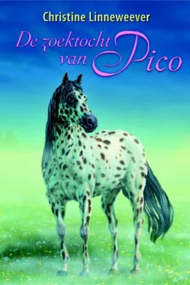 De zoektocht van Pico