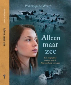 Alleen maar zee