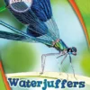 Waterjuffers | 9789463414852