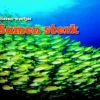 Samen sterk | 9789031434305 Samen sterk | 9789031434305