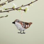 Musje | 8720572359031