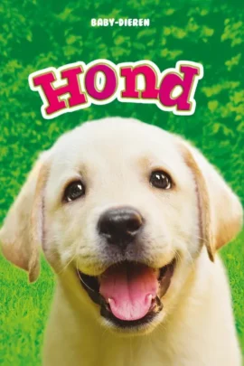 Hond