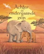 Achter de ondergaande zon | 9789044843682