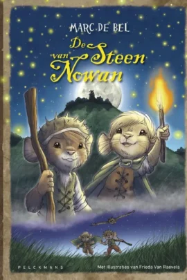 De steen van Nowan