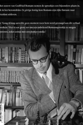 Alternative view of Godfried Bomans sprookjesboek