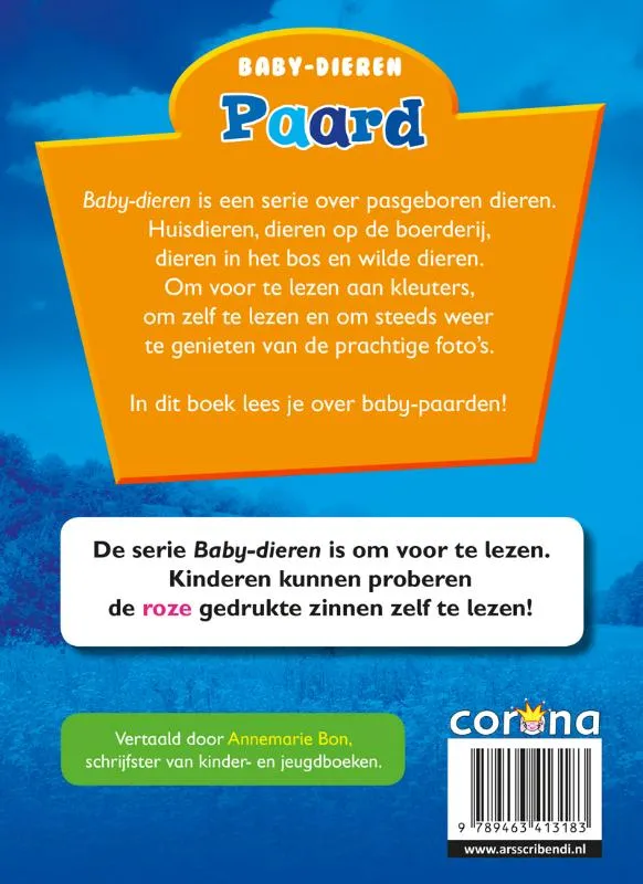 Paard | 9789463413183 Paard - Afbeelding 2