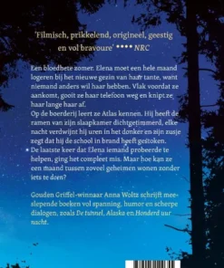 Alternative view of De spin en de sleutel