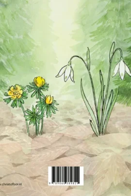 Alternative view of Winter