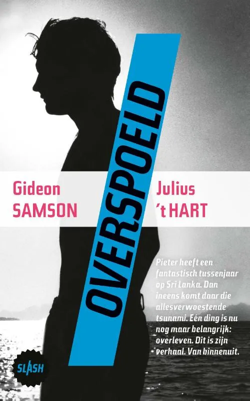 Overspoeld | 9789045123141 Overspoeld