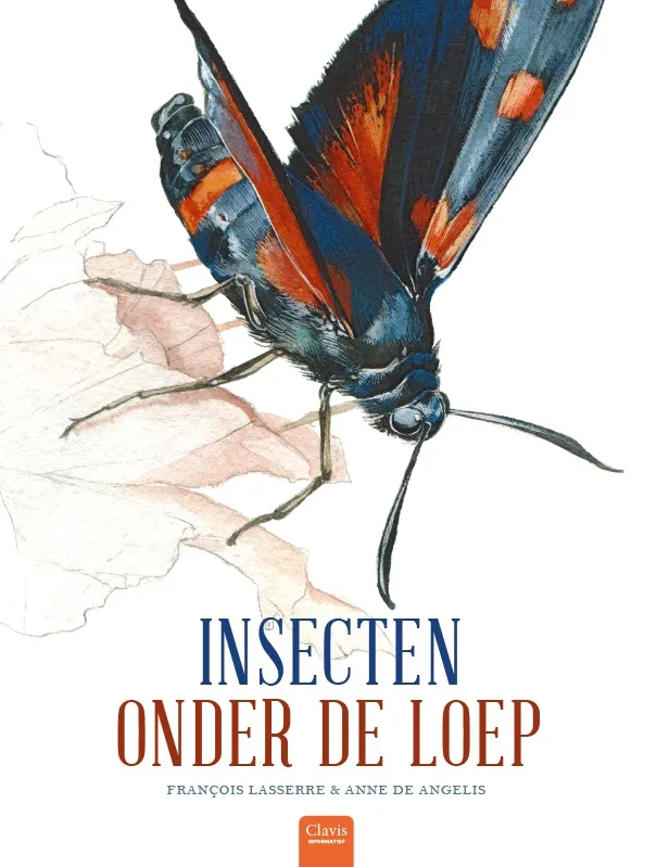 Insecten onder de loep | 9789044832068 Insecten onder de loep